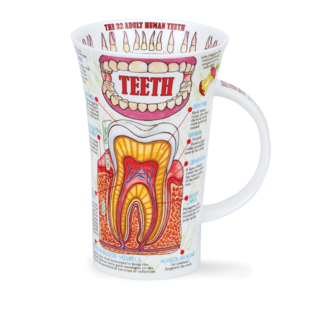 Dunoon Glencoe Teeth Fine Bone China Porzellan Becher 5 dl mit Zahnmotiv von Caroline Dadd