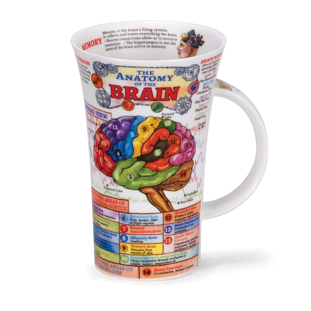  Dunoon Glencoe The Brain Fine Bone China Porzellan Becher 5 dl mit Gehirnmotiv von Caroline Dadd