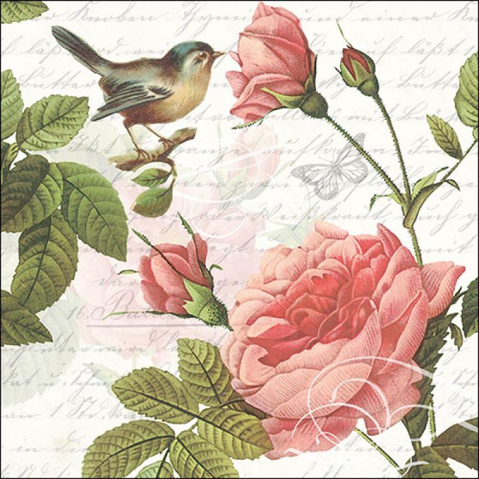 Rosen und Vogel