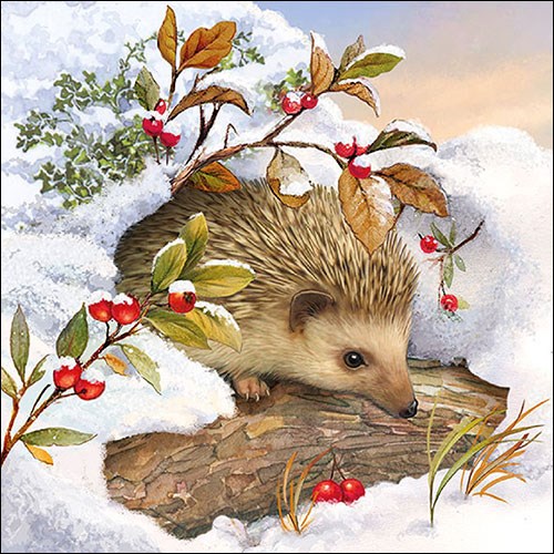 Igel im Schnee