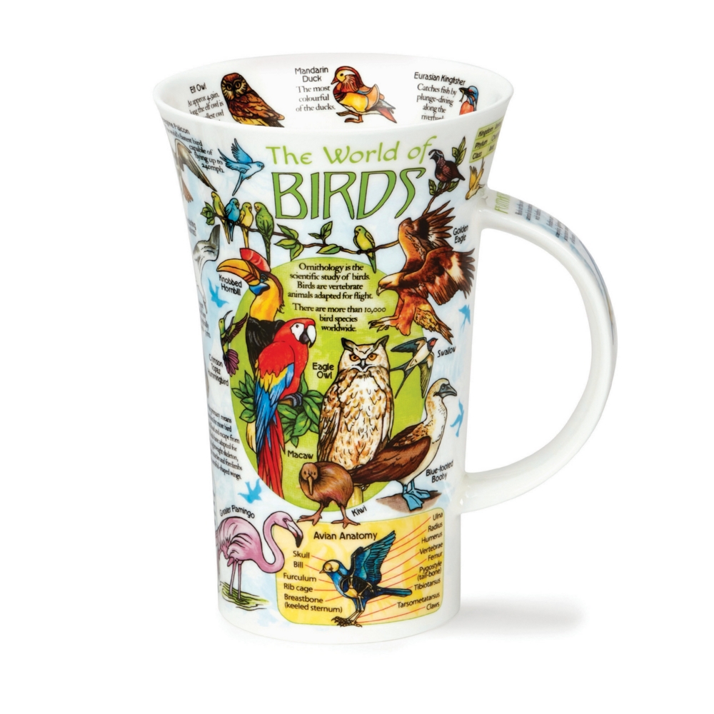 Dunoon Glencoe World of Birds Fine Bone China Porzellan Becher 5 dl mit Vogelmotiv von Caroline Dadd