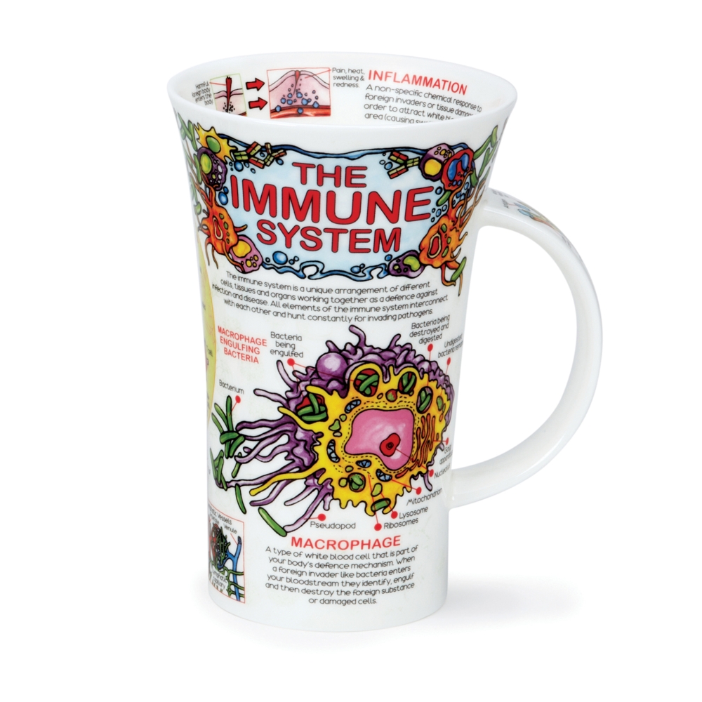 Dunoon Glencoe The Immune System Fine Bone China Porzellan Becher 5 dl mit Immunsystemmotiv von Caroline Dadd