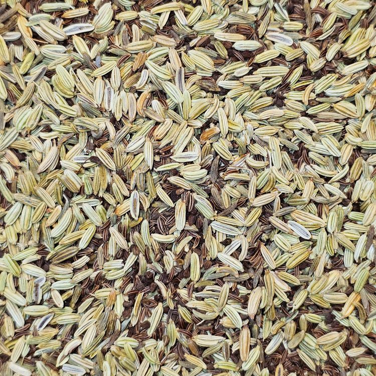 Magenwohl Bio Kräutertee – klassische, puristische Kräutermischung aus Fenchel, Kümmel und Anis