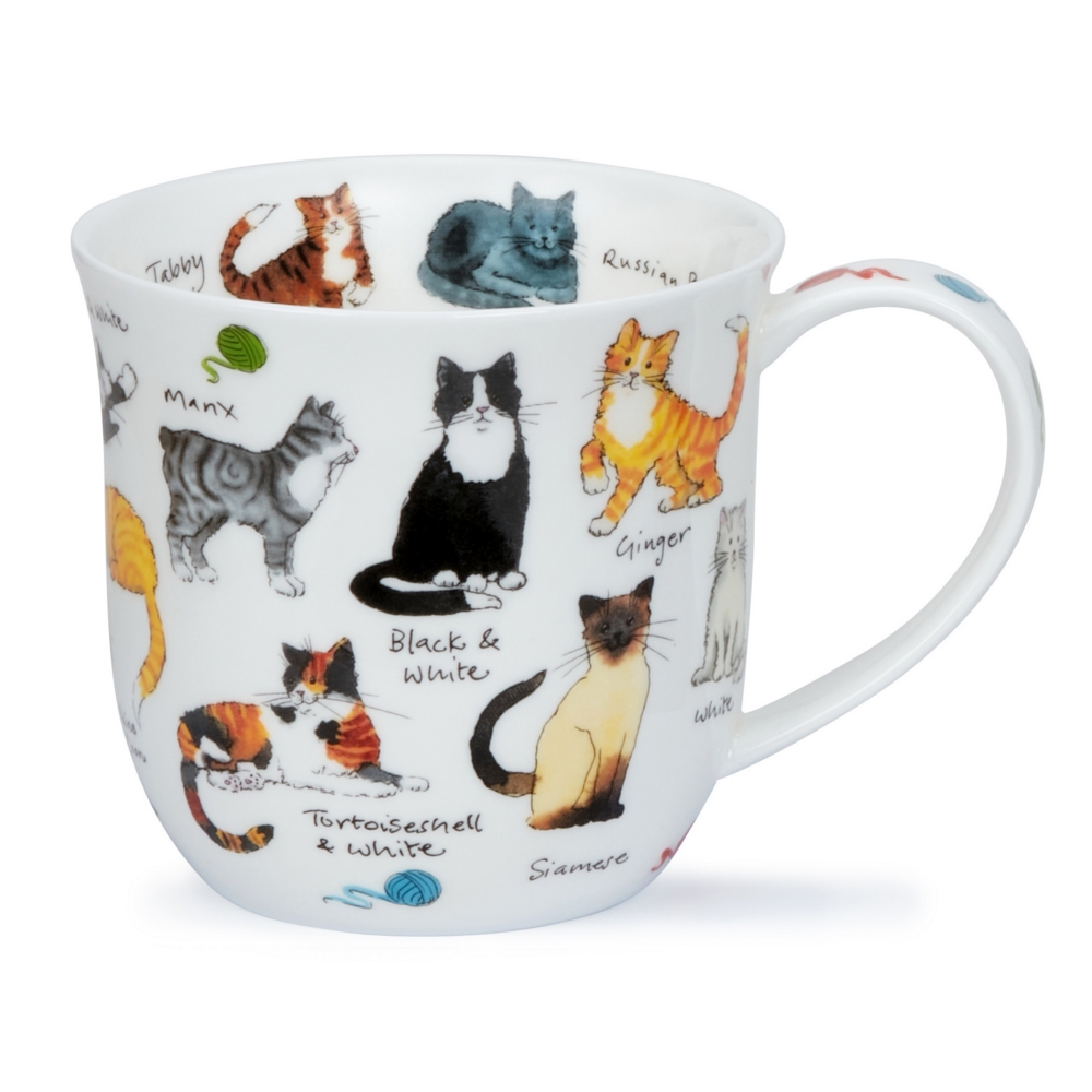 Dunoon Cumbrae Cat Breeds Porzellanbecher mit Katzenrassen, Büsi, bunten Wollknäueln und handschriftlichen Beschriftungen