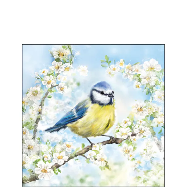 Ambiente Cocktailserviette Meise im Blütenzauber 25x25 cm mit blauer Meise und weissen Frühlingsblüten