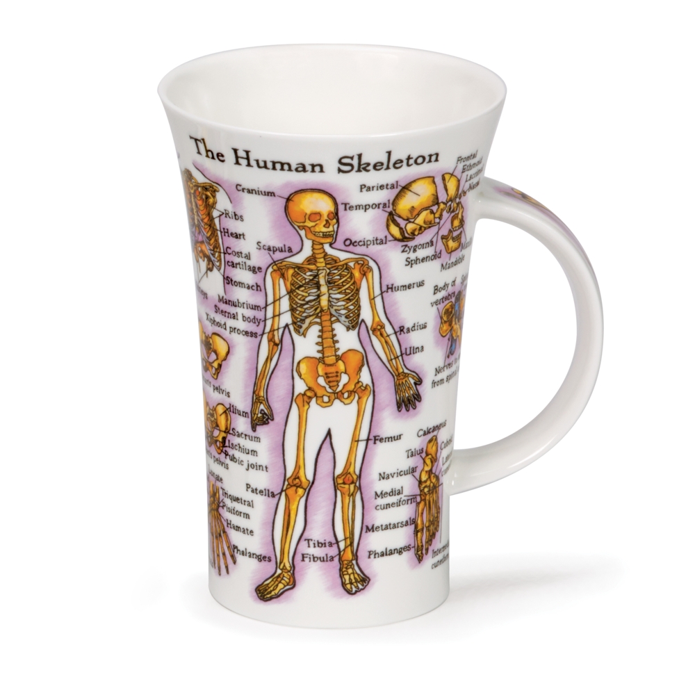 Dunoon Glencoe Human Body Fine Bone China Porzellan Becher 5 dl mit menschlichem Körpermotiv von Jane Goodwin
