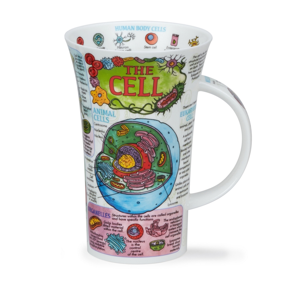 Dunoon Glencoe The Cell Fine Bone China Porzellan Becher 5 dl mit Zellmotiv von Caroline Dadd